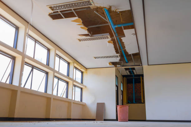 Best Water damage restoration insurance claims  in Ripley, TN