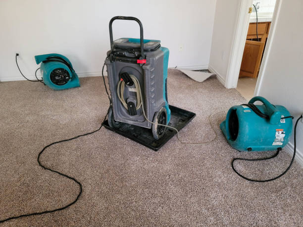 Best Residential water damage restoration  in Ripley, TN