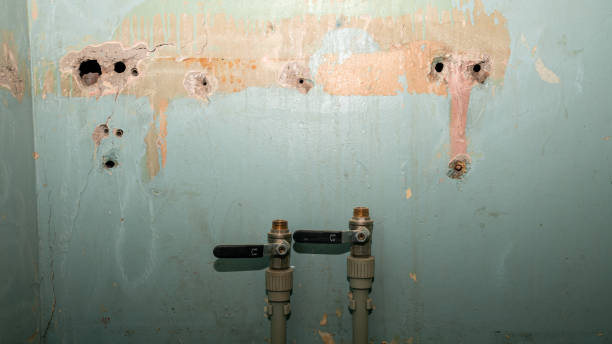Best Emergency water damage restoration  in Ripley, TN