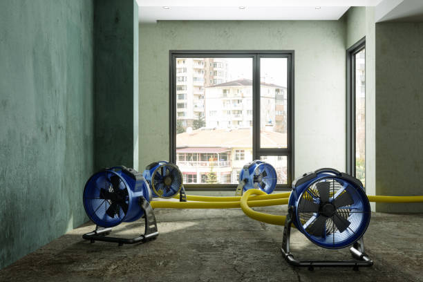 Best Sewage cleanup and water damage restoration  in Ripley, TN